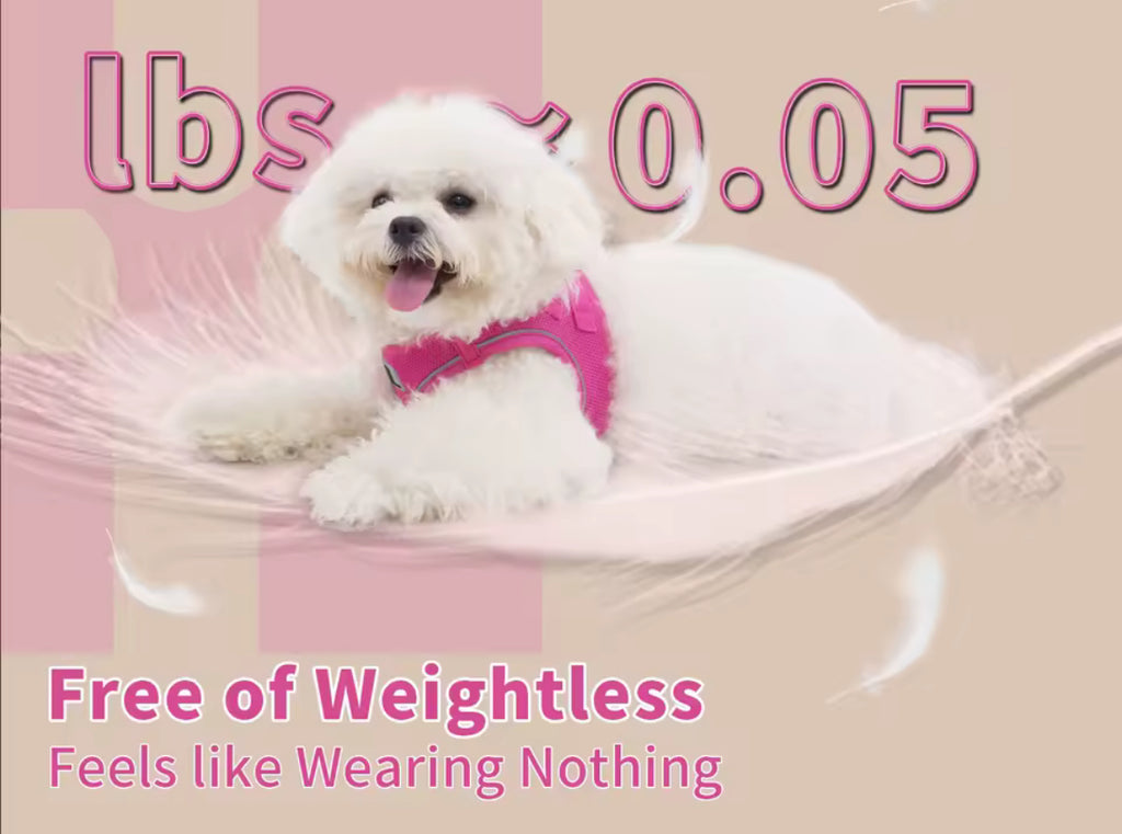 Pet harness, mainly for dogs but works for cats as well!