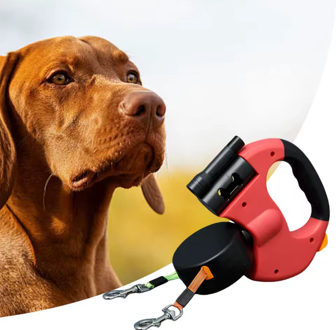 No tangle walking pet leash, with led