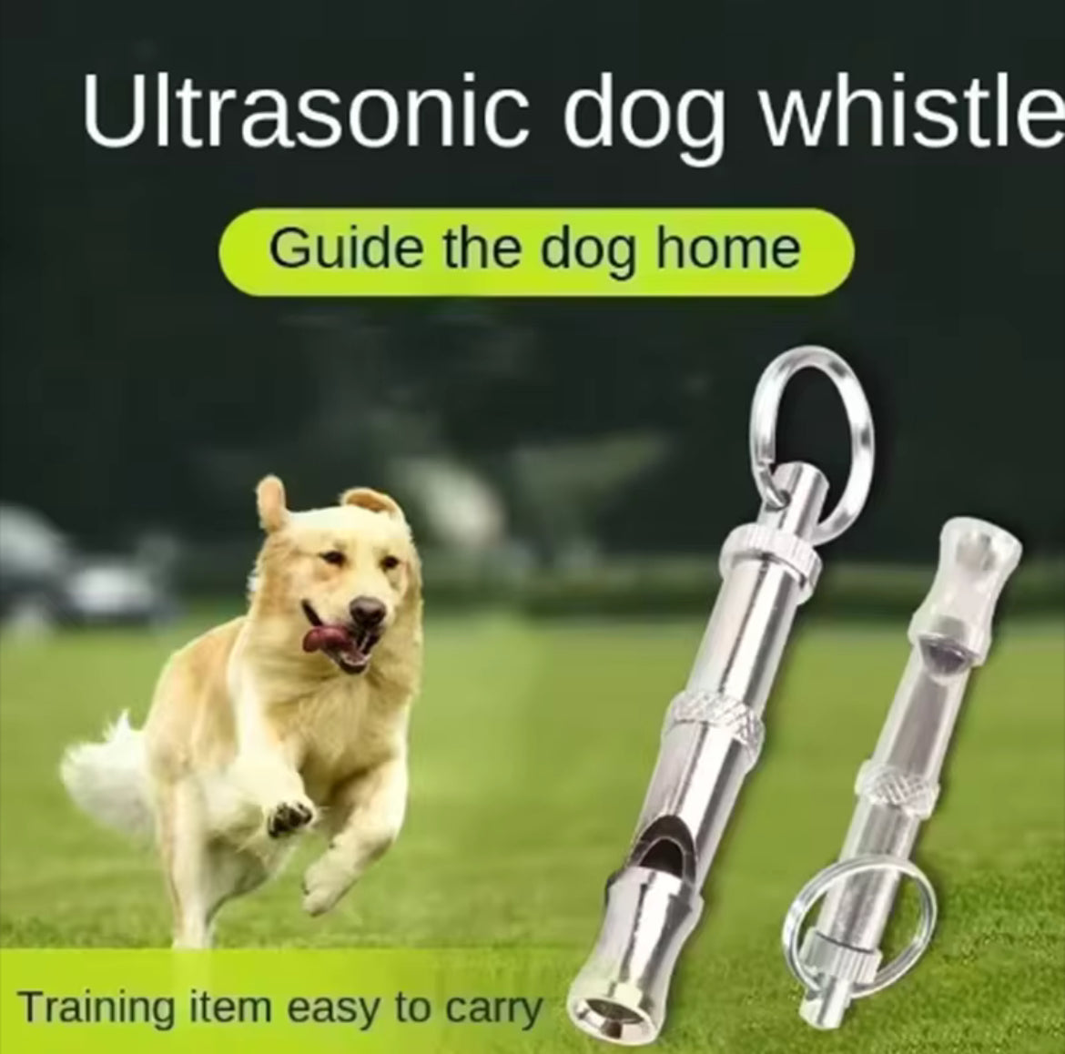 Dog training whistle