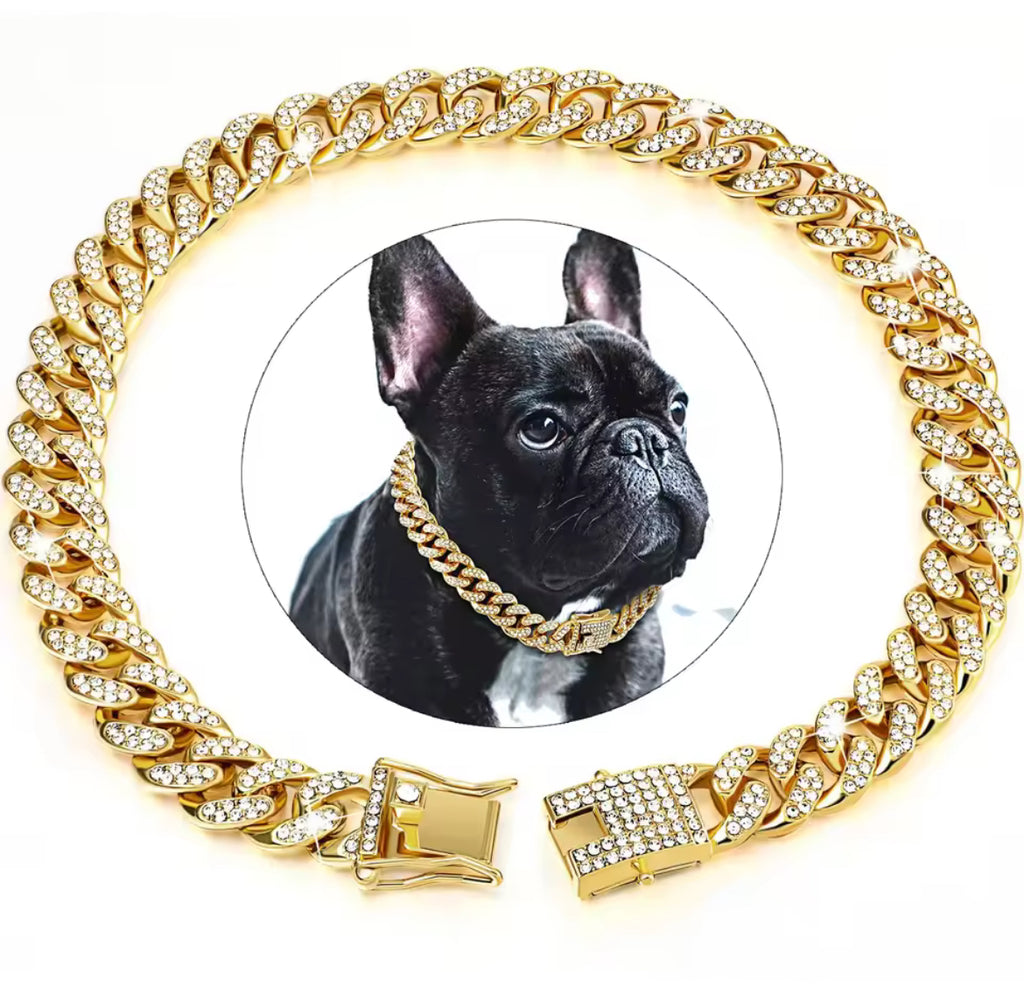 Cuban link for pets