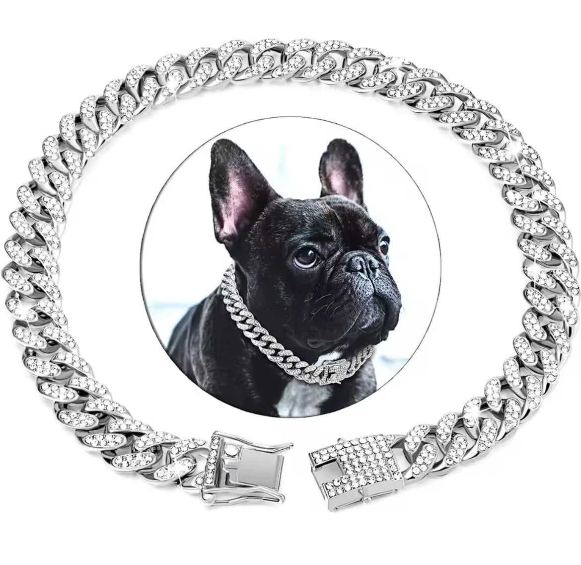 Cuban link for pets