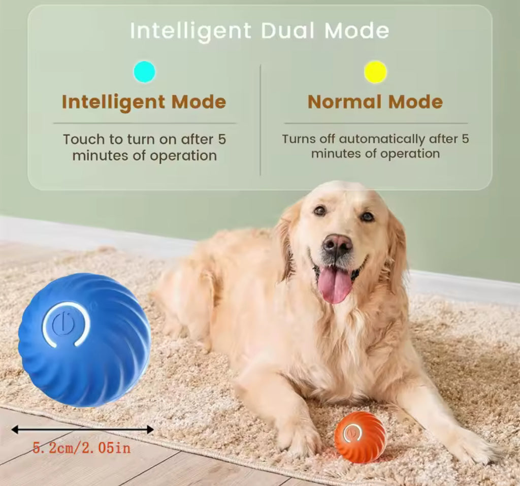Electrical smart ball toy for pets!