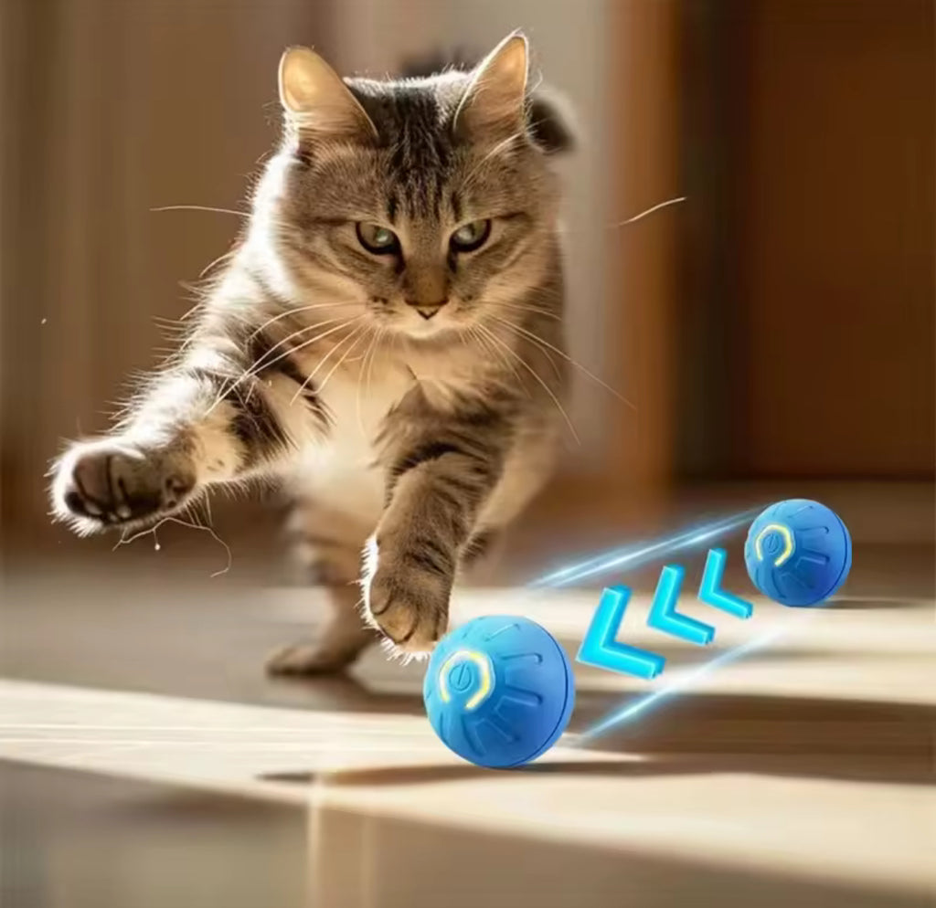 Electrical smart ball toy for pets!