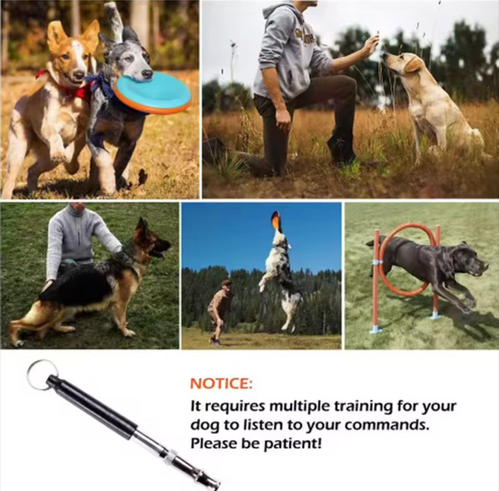 Dog training whistle
