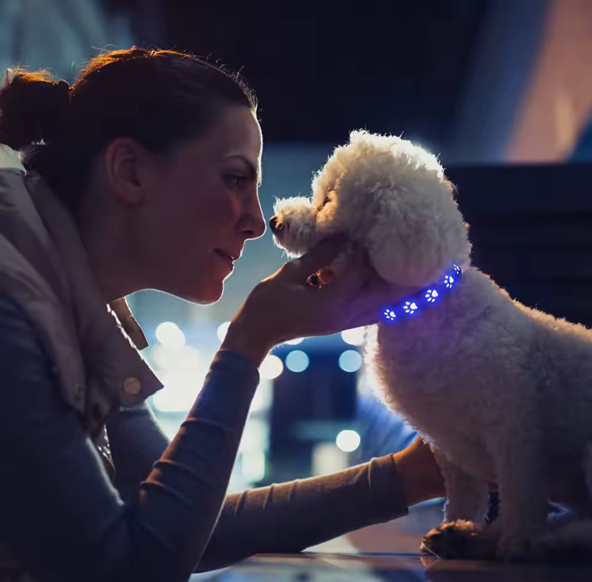 LED rainproof dog collar