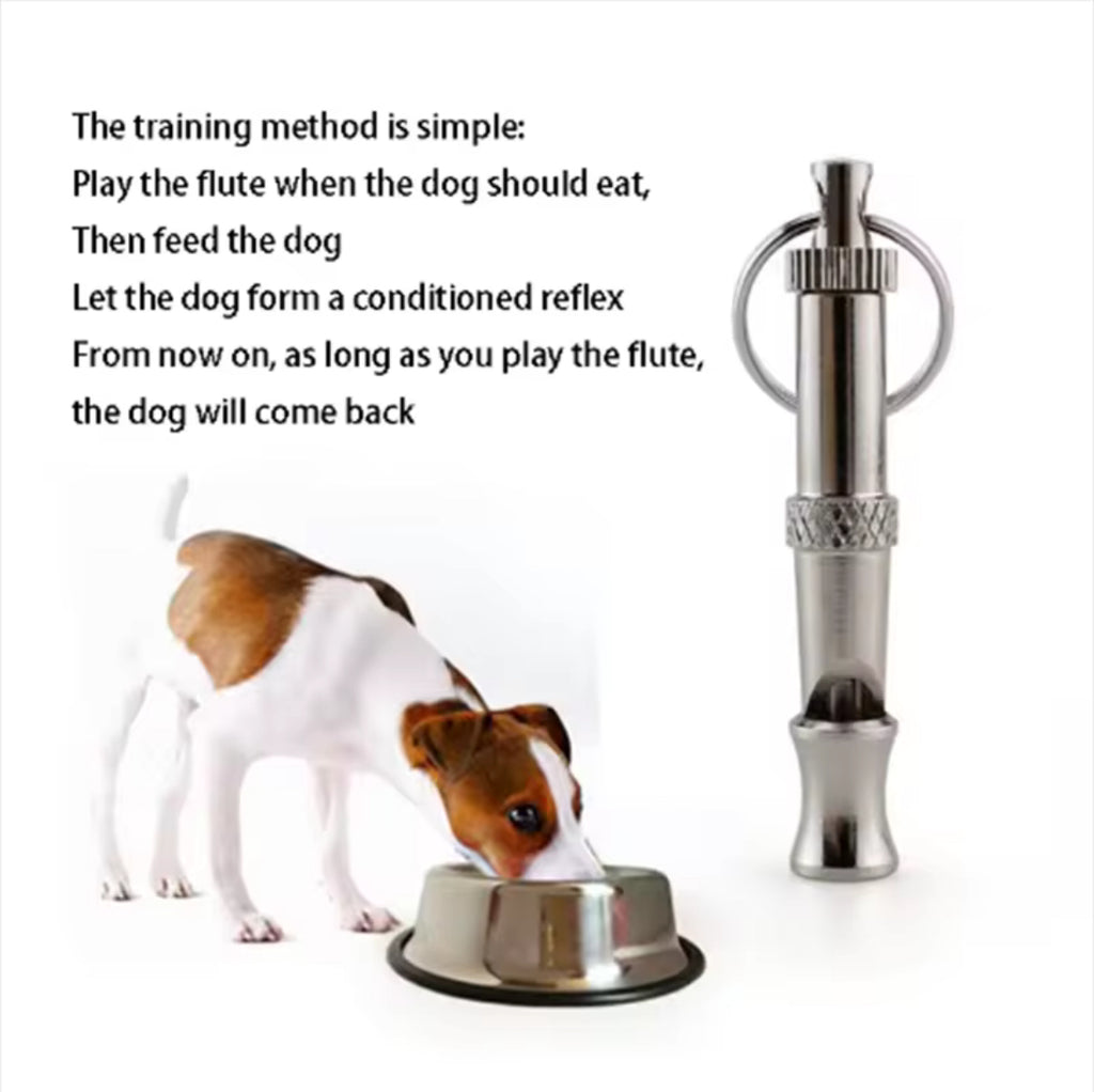 Dog training whistle