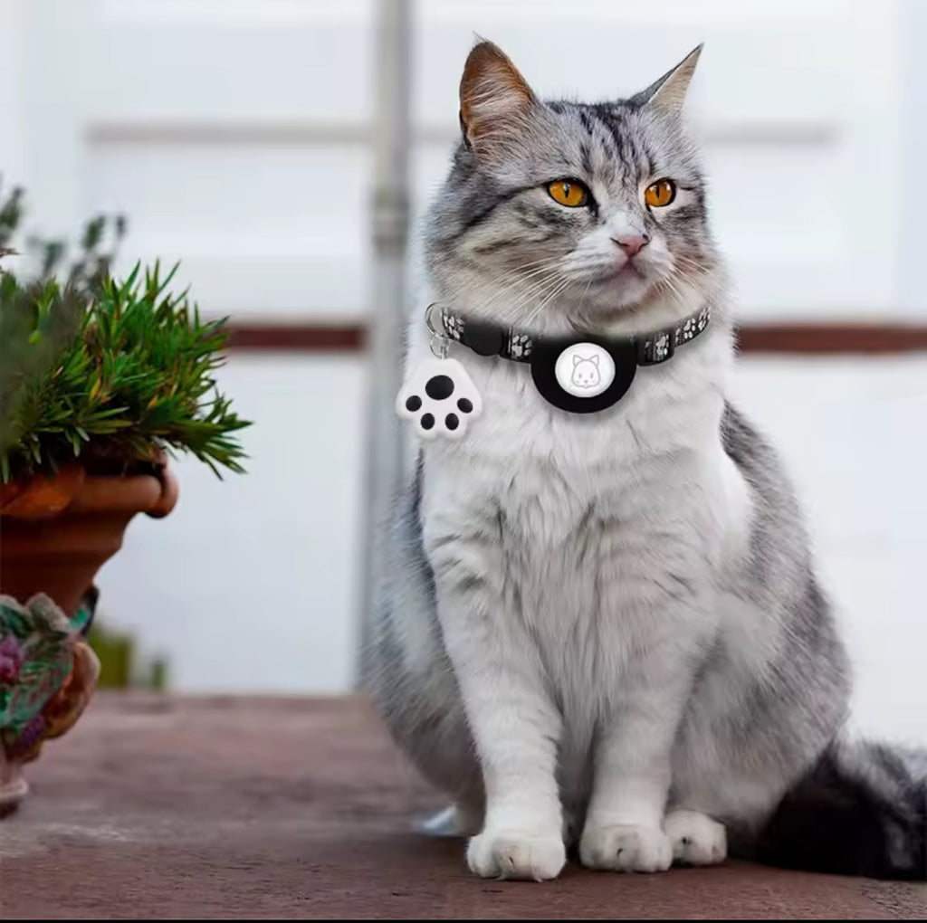 GPS tracker for pet