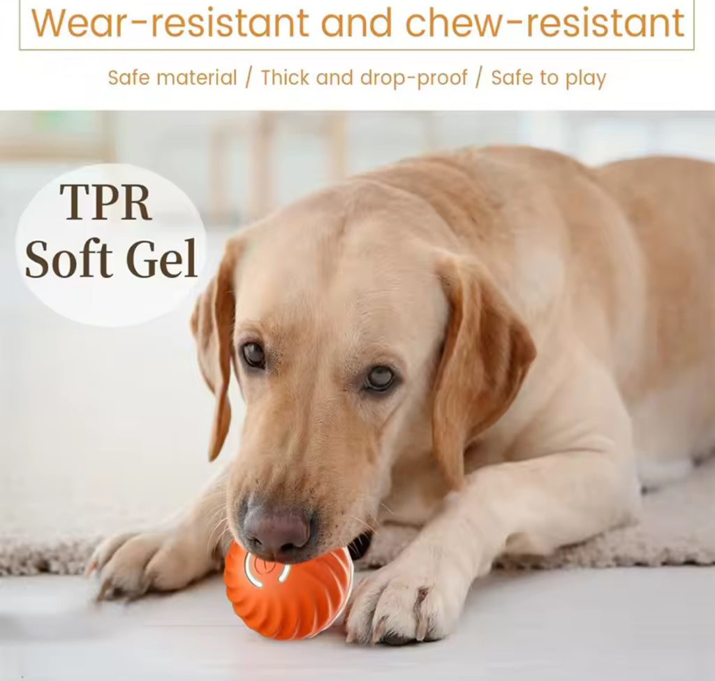 Electrical smart ball toy for pets!