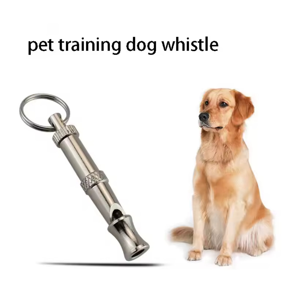 Dog training whistle