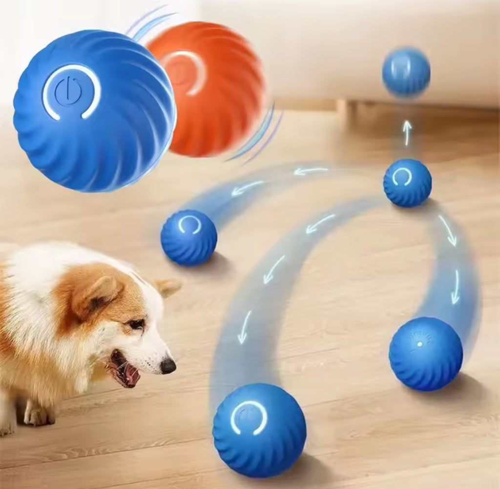 Electrical smart ball toy for pets!