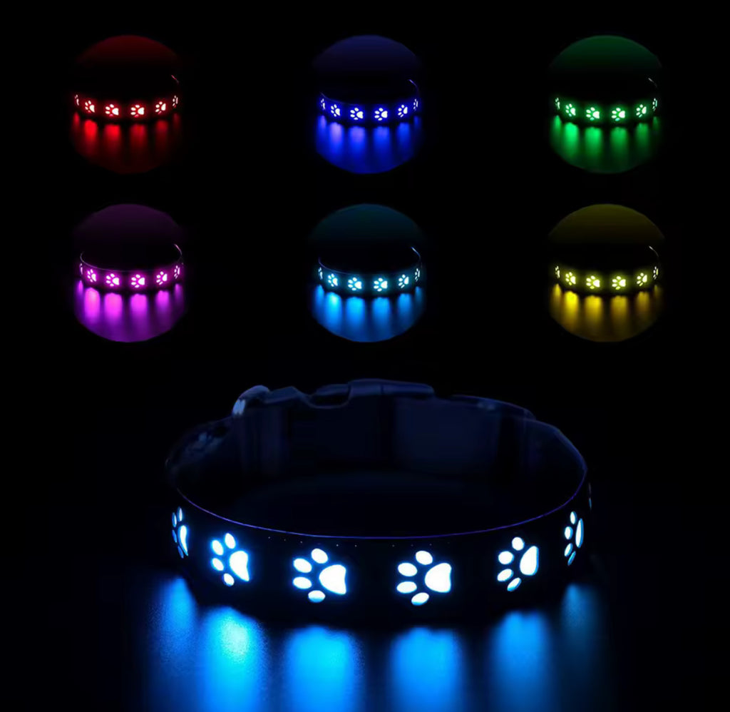 LED rainproof dog collar
