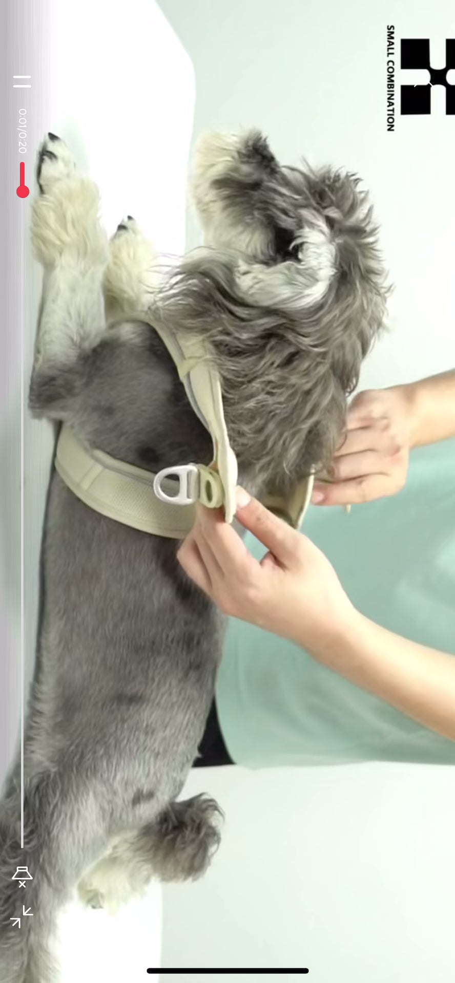 Pet harness, mainly for dogs but works for cats as well!